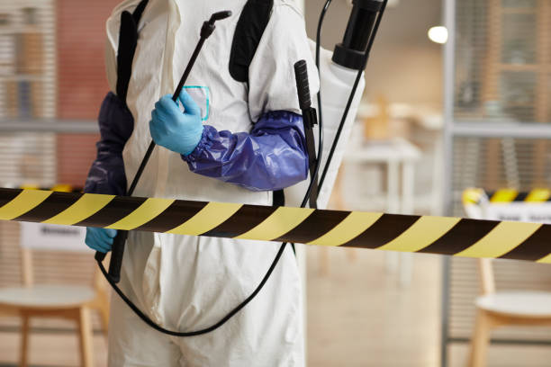 Professional Sewage Cleanup technician working in Spring Lake, NJ